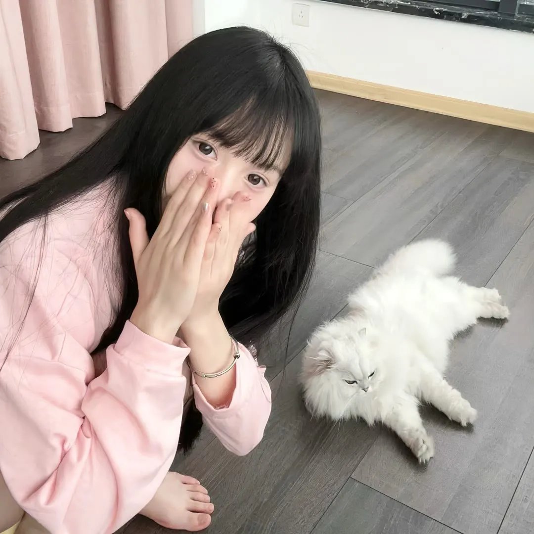 辰雪令